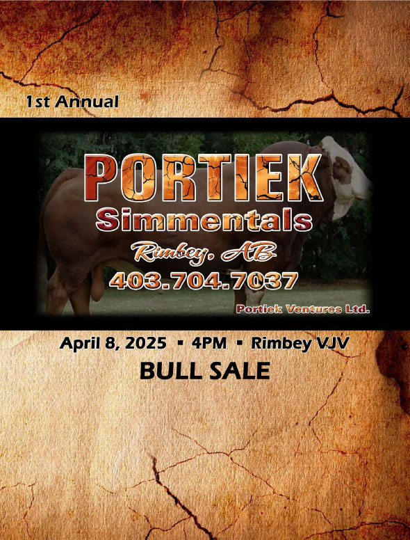 Portiek Simmentals