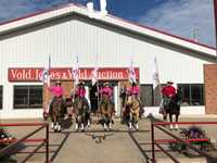 2018 Ponoka Stampede Parade (First Place Finish)