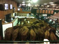 VJV Ponoka Facilities