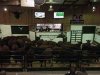 VJV Ponoka Facilities
