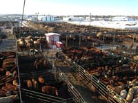 VJV Ponoka Facilities