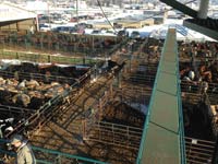VJV Ponoka Facilities